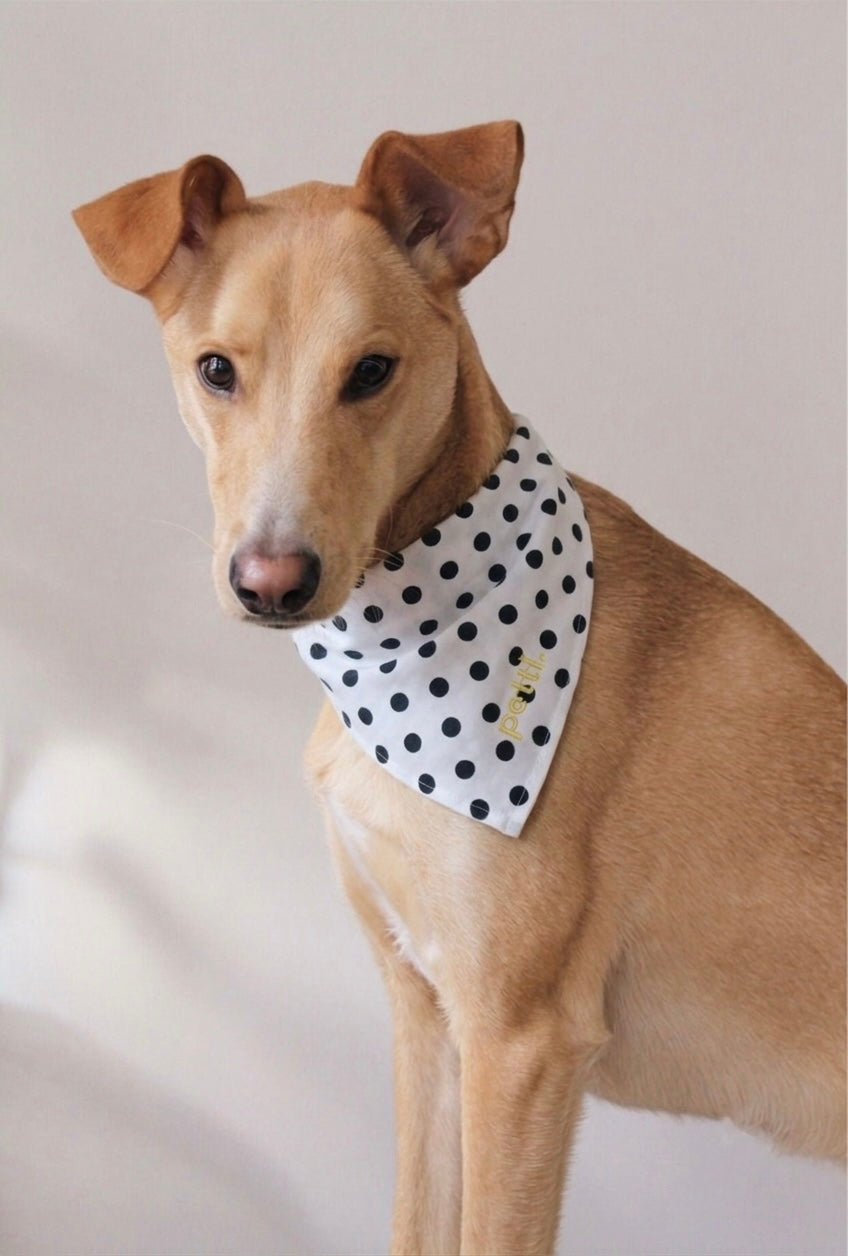 White Polka Dots Bandana