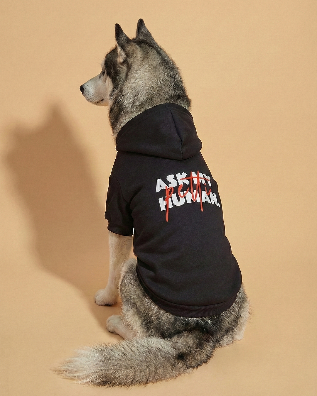 Pet Ask My Human