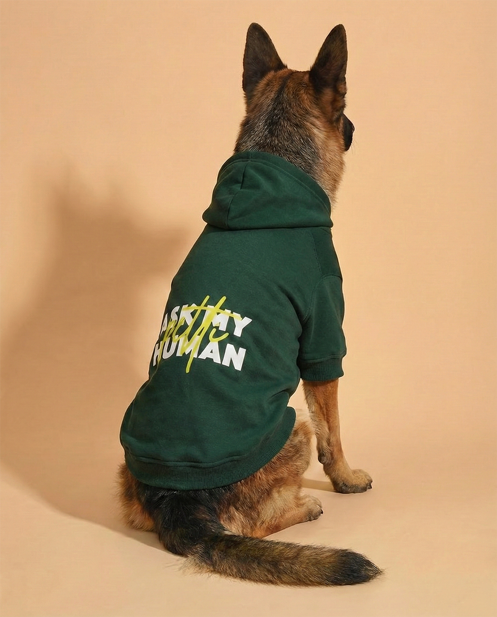 Pet Ask My Human