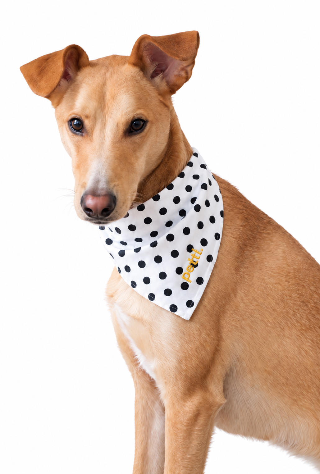 White Polka Dots Bandana