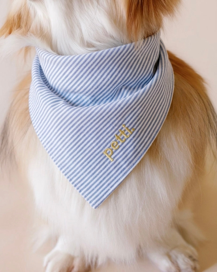 Blue Striped Bandana