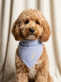 Blue Striped Bandana