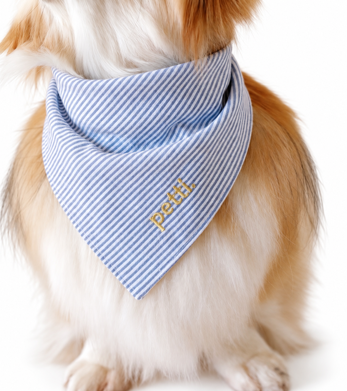 Blue Striped Bandana