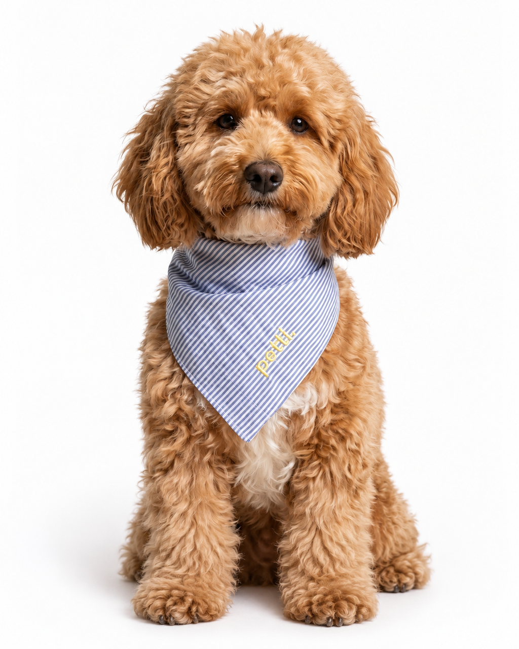 Blue Striped Bandana